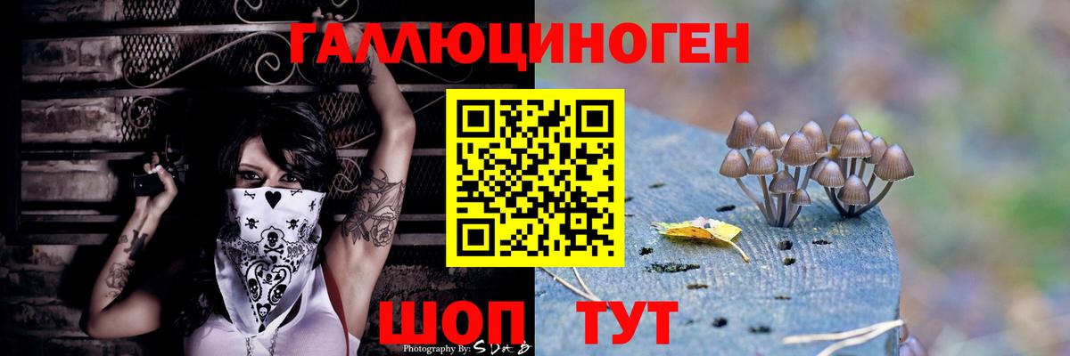 Псилоцибиновые грибы Magic Shrooms Мариинск